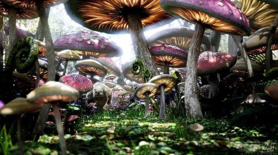 南明区水口寺街道关工委开展2024年寒假关爱未成年人活动